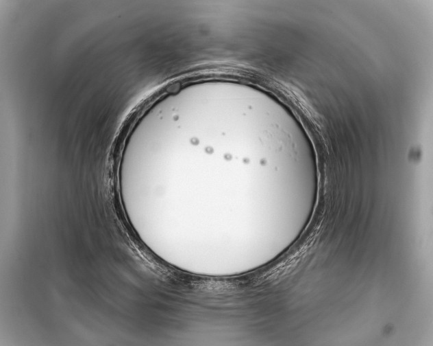 X0000099301164200805161342