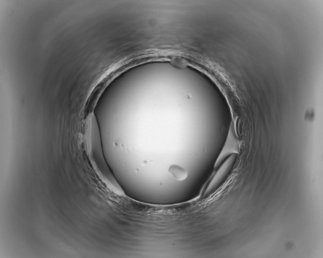 X0000099301165200805161342