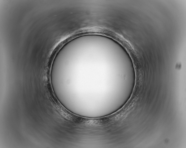 X0000099301166200805161342