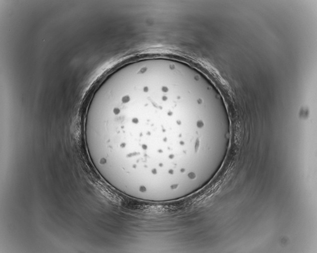 X0000099301167200805161342