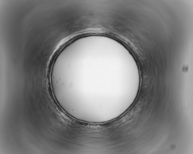 X0000099301168200805161341