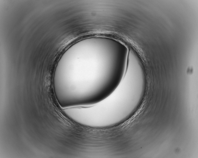 X0000099301169200805161341