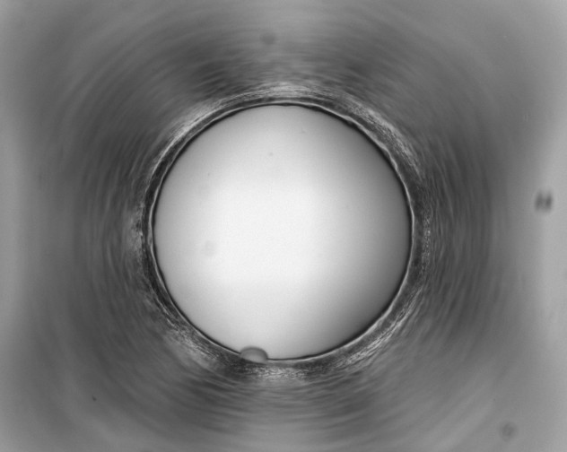 X0000099301170200805161341