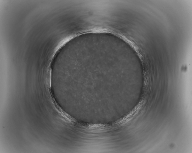 X0000099301171200805161341