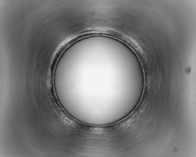 X0000099301172200805161341