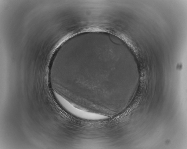 X0000099301173200805161341