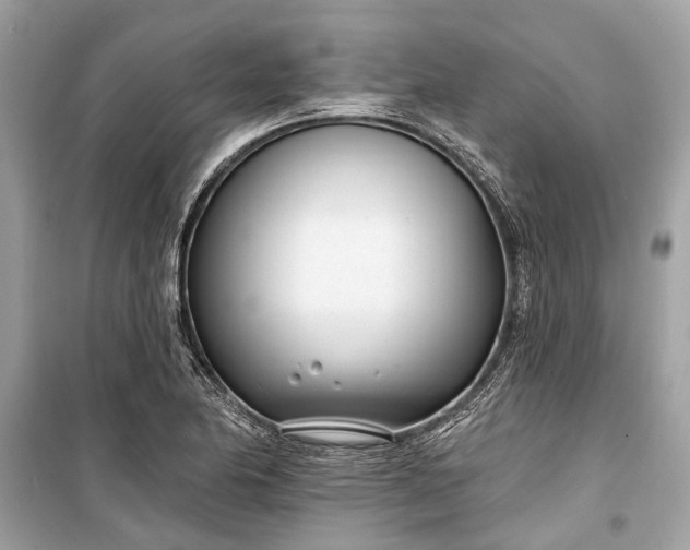 X0000099301174200805161341