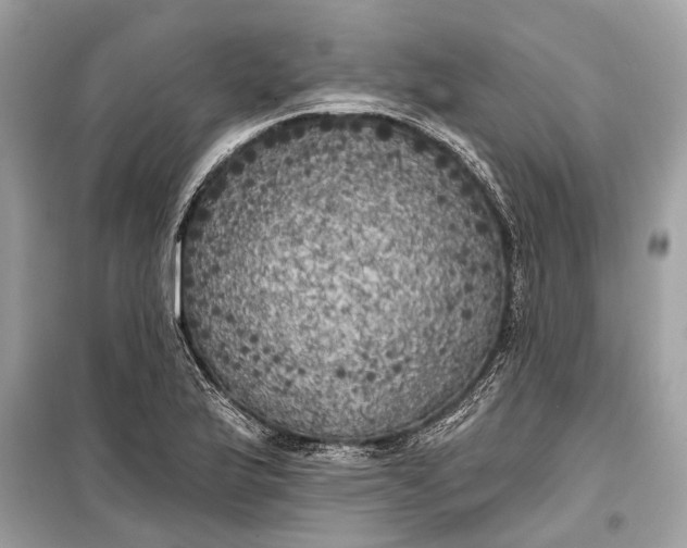 X0000099301175200805161341