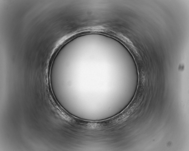 X0000099301176200805161341