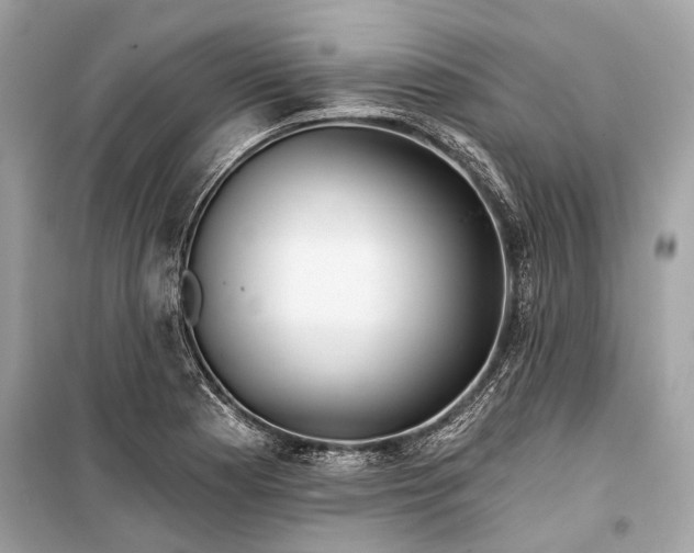 X0000099301177200805161341