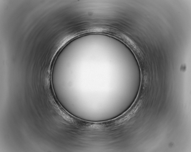 X0000099301178200805161341