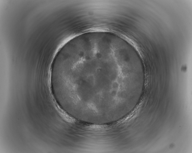 X0000099301179200805161341