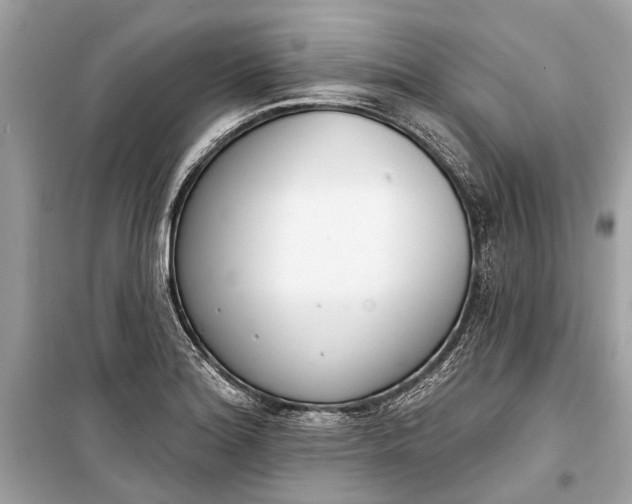 X0000099301180200805161341