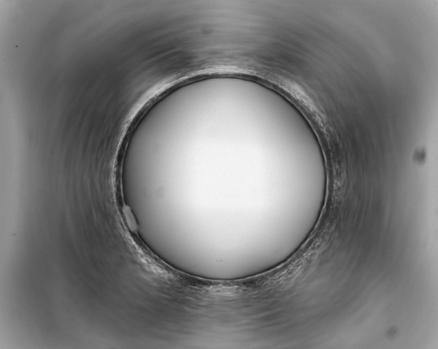 X0000099301181200805161341