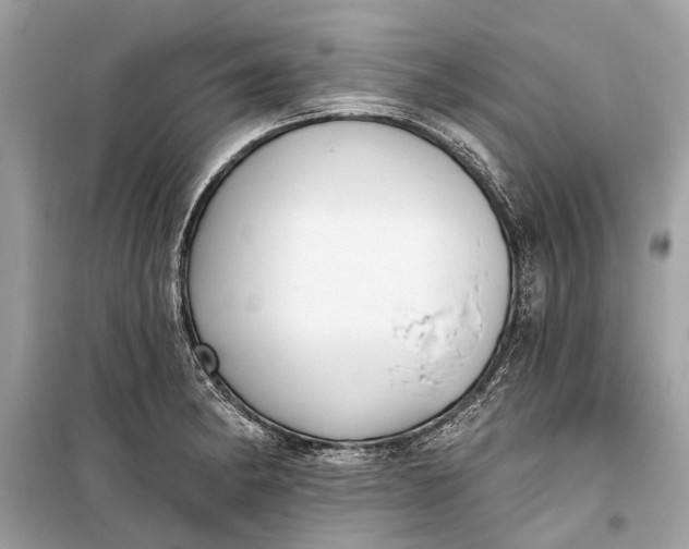 X0000099301182200805161341