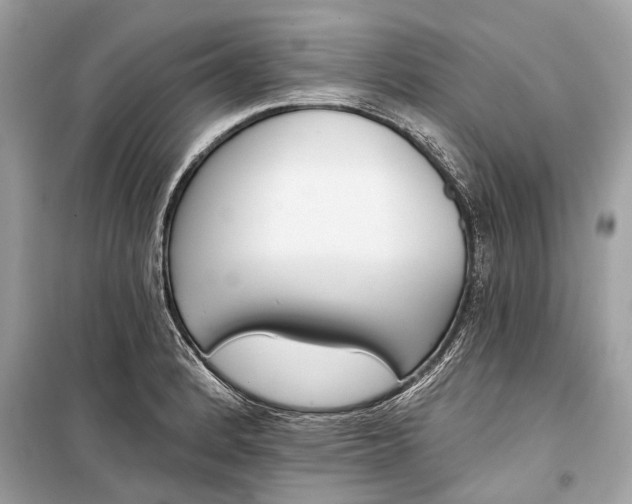 X0000099301184200805161341