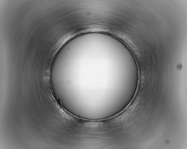 X0000099301185200805161341