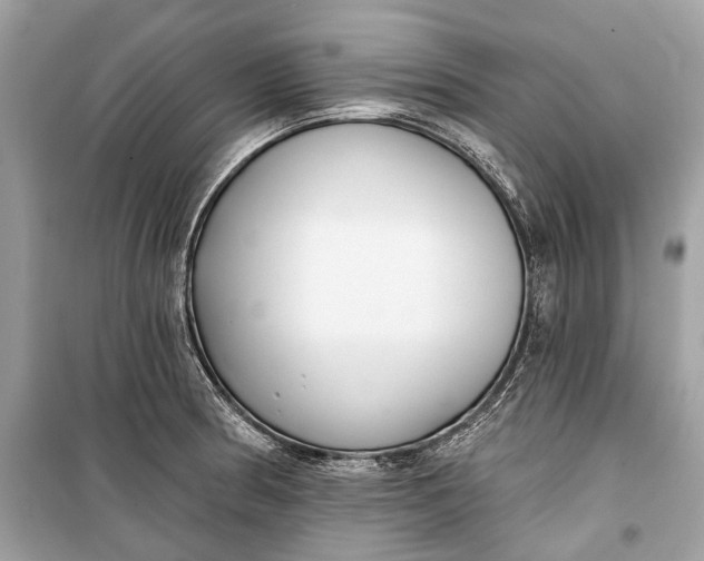 X0000099301186200805161341