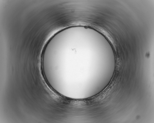 X0000099301187200805161341