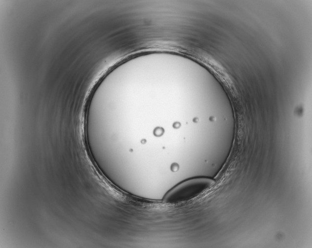 X0000099301188200805161341