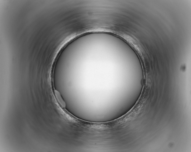 X0000099301189200805161341