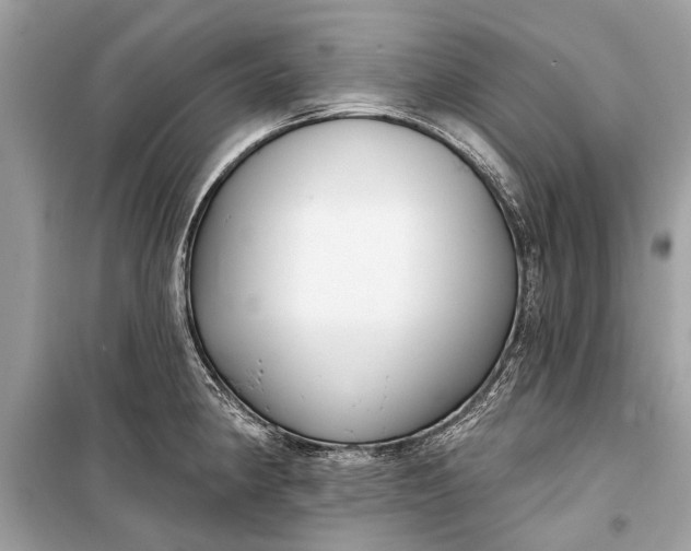 X0000099301190200805161341