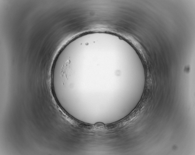 X0000099301191200805161341