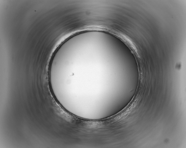 X0000099301192200805161341