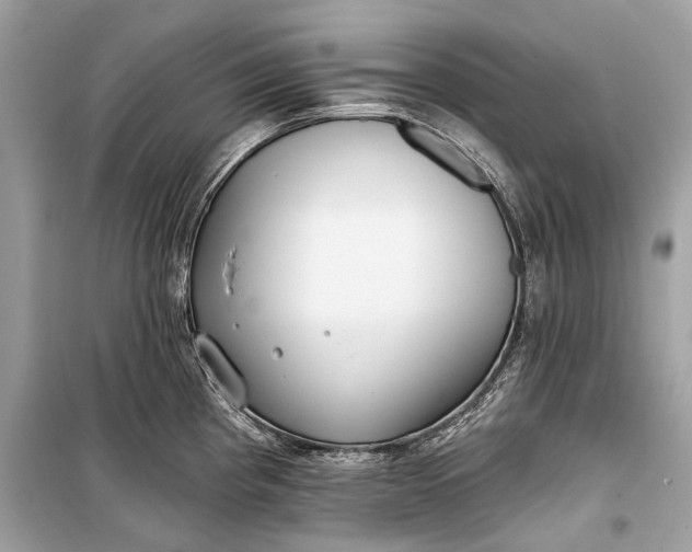 X0000099301193200805161341