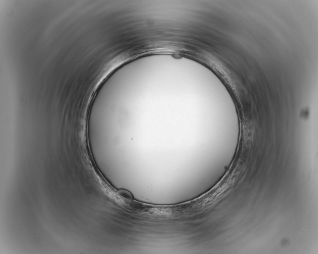 X0000099301194200805161341