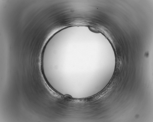 X0000099301195200805161341