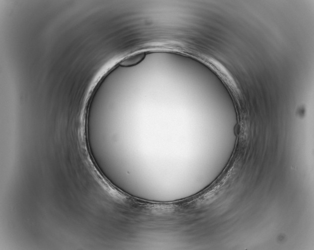 X0000099301196200805161341