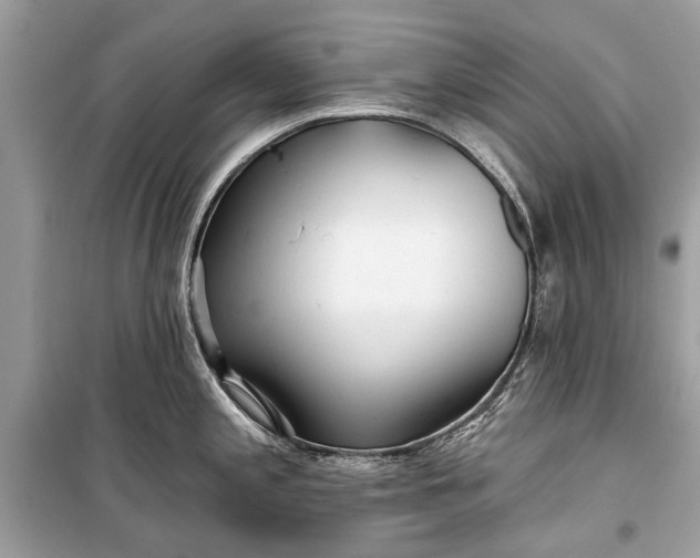 X0000099301197200805161341