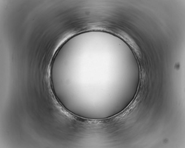 X0000099301198200805161341