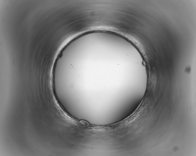 X0000099301199200805161341