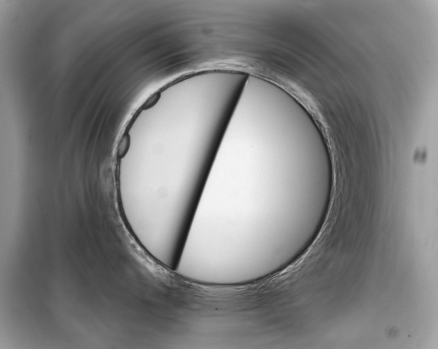 X0000099301200200805161341