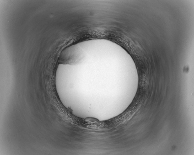 X0000099301201200805161340