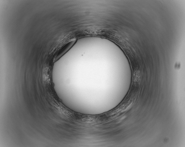 X0000099301202200805161340