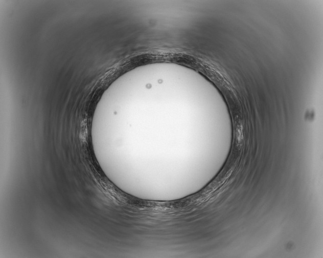 X0000099301204200805161340