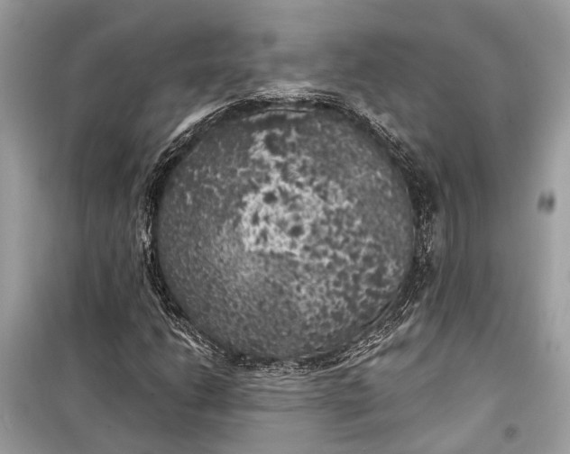 X0000099301206200805161340