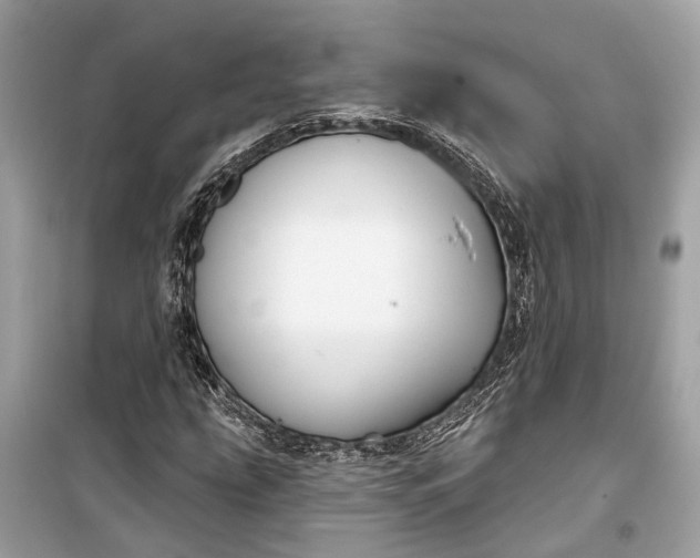 X0000099301207200805161340