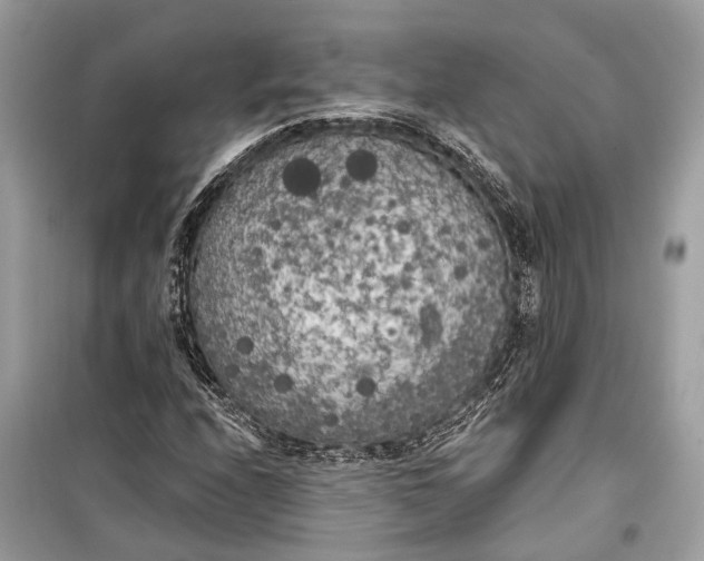 X0000099301208200805161340