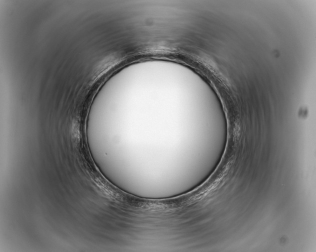 X0000099301209200805161340