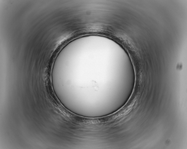 X0000099301210200805161340