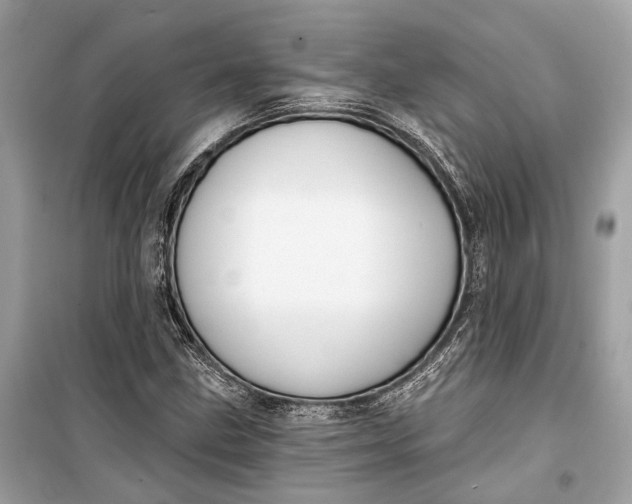 X0000099301211200805161340