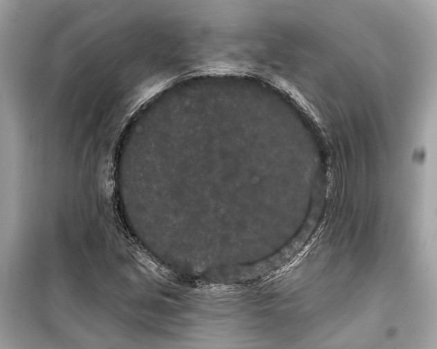 X0000099301213200805161341