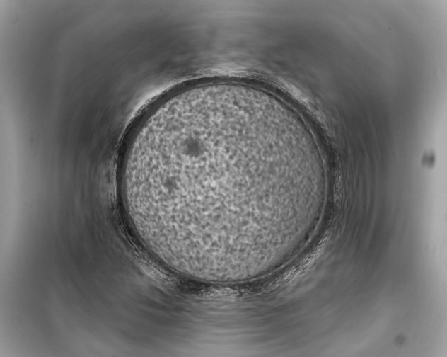 X0000099301214200805161341