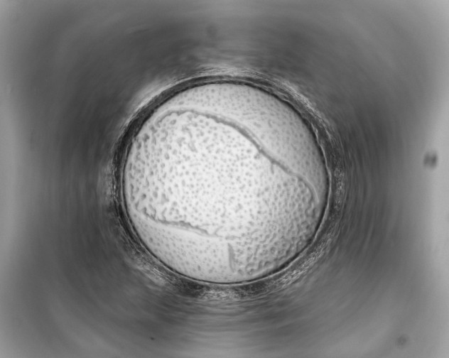 X0000099301215200805161341