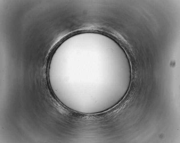 X0000099301216200805161341