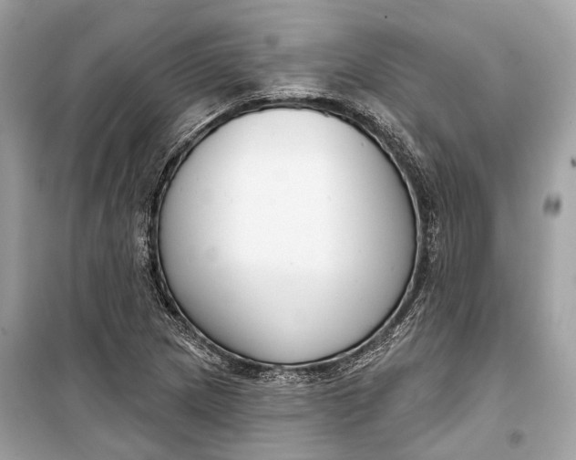 X0000099301217200805161341